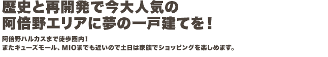 歴史と再開発で今人気の阿倍野エリアに夢の一戸建てを！